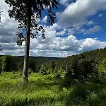 Carlsfeld