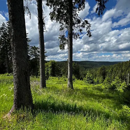 Carlsfeld Am Skihang Apartment