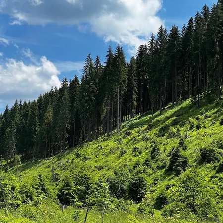 Apartment Carlsfeld Am Skihang *