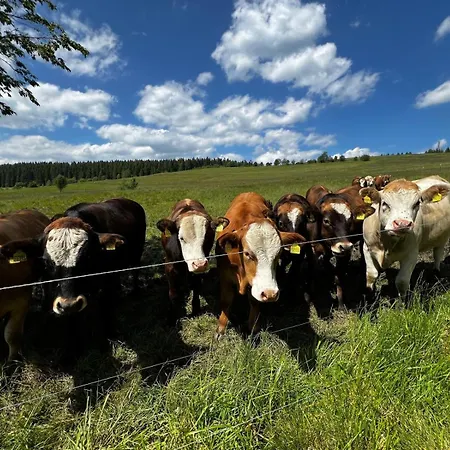 Apartment Carlsfeld Am Skihang Eibenstock