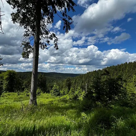 Carlsfeld Am Skihang