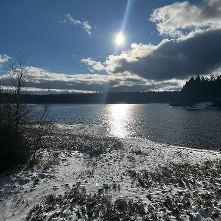 Carlsfeld Am Skihang Apartment