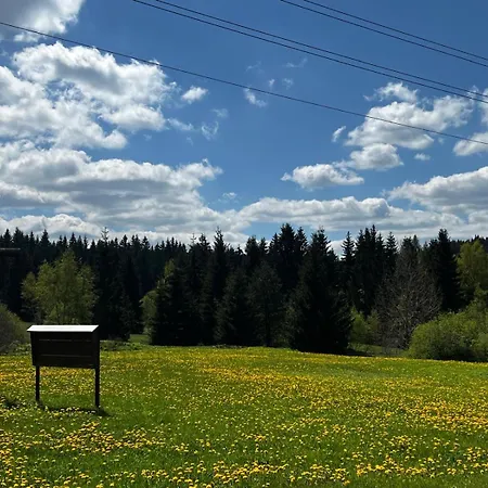 Apartment Carlsfeld Am Skihang