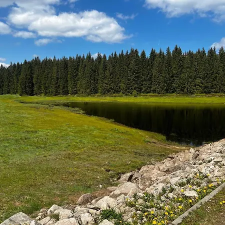 Apartment Carlsfeld Am Skihang *