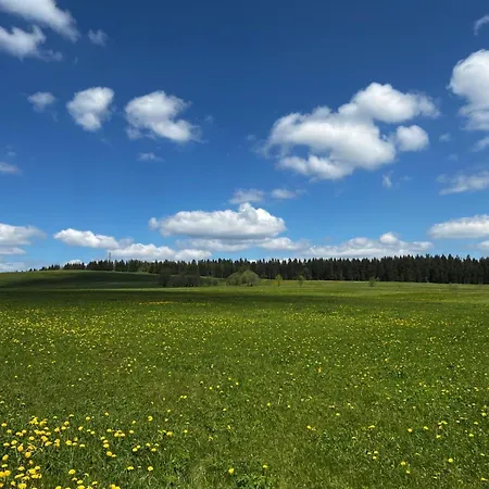 Carlsfeld Am Skihang Apartment Eibenstock