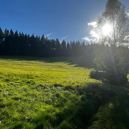 Carlsfeld Am Skihang *