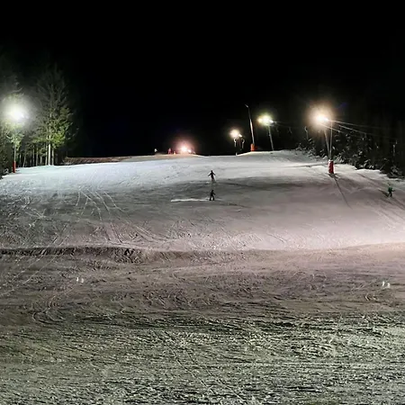 Carlsfeld Am Skihang Apartment