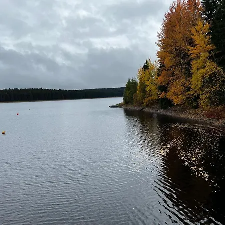 Apartment Carlsfeld Am Skihang