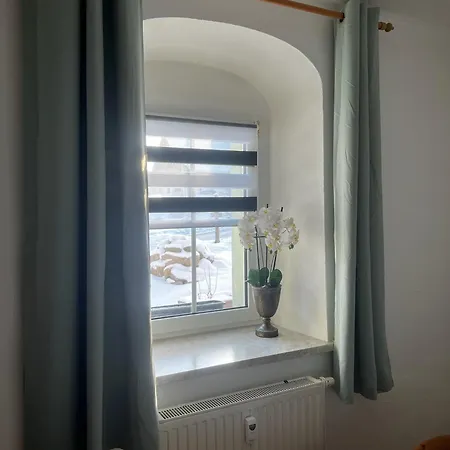 Apartment Carlsfeld Am Skihang *