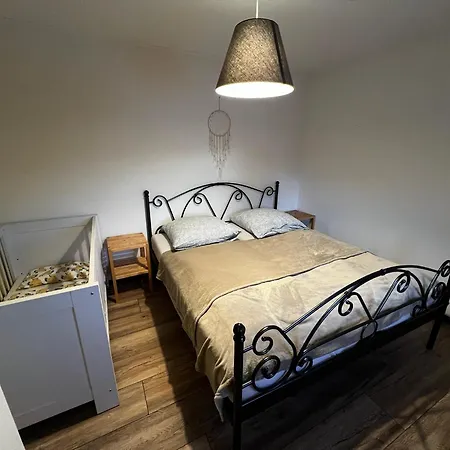 Carlsfeld Am Skihang Apartment *