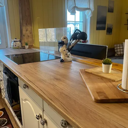 Carlsfeld Am Skihang Apartment *