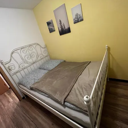 Apartment Carlsfeld Am Skihang *